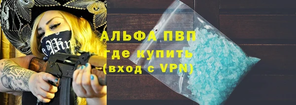 шишки Пересвет