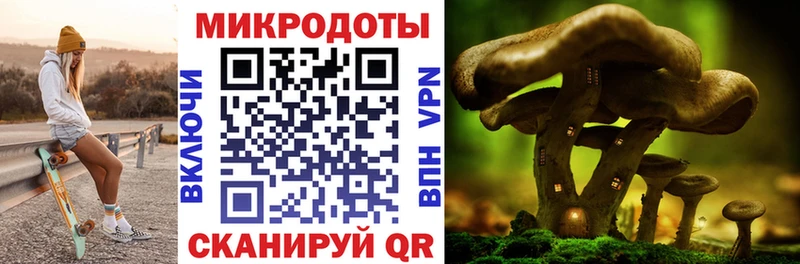 даркнет сайт  blacksprut маркетплейс  Псилоцибиновые грибы Psilocybine cubensis  Сорочинск 